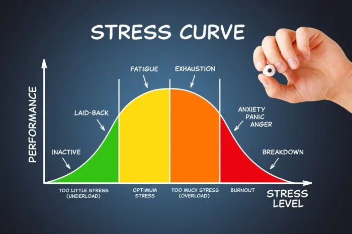 A stress curve graph showing the progression from optimum stress to burnout anxiety, featuring stages like fatigue and exhaustion.